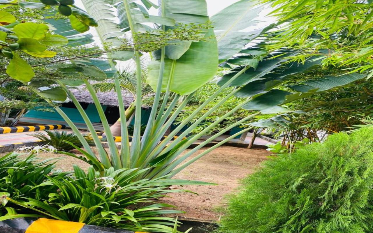 Hotel Megha Resort 함피 외부 사진